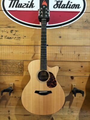 Furch Blue Gc-SW