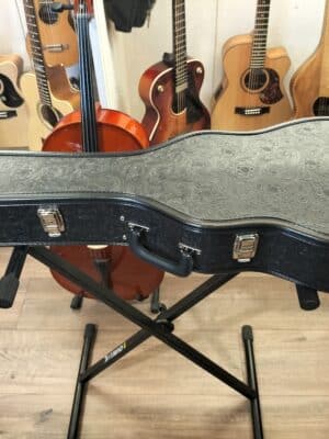 Duesenberg Custom Guitar Case DTV Paisley